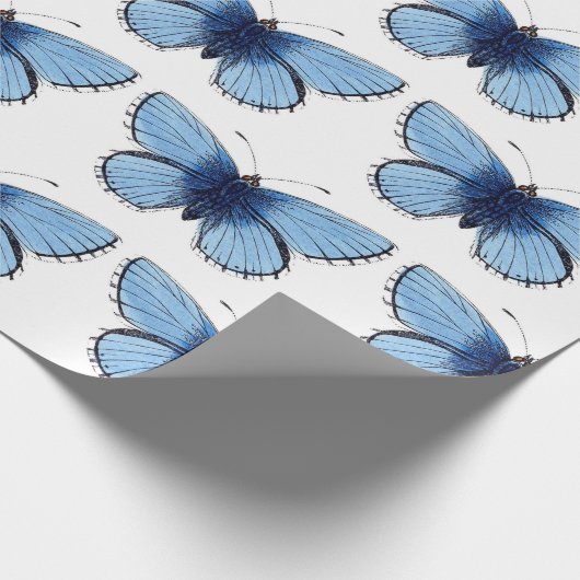 包装紙 - 青い蝶 (角)