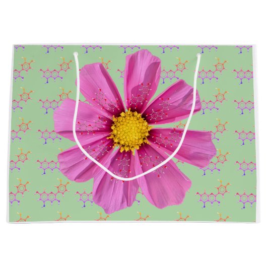 化学ガーデンパーティー抱き枕 ラージペーパーバッグ (正面)