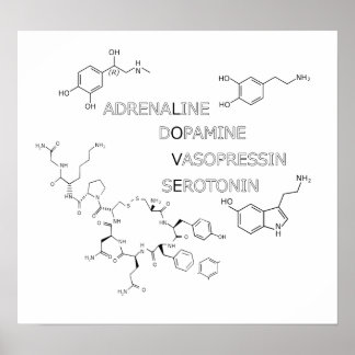 化学構造愛ギークポスター ポスター