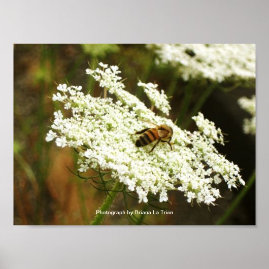 化学 ポスター (正面)