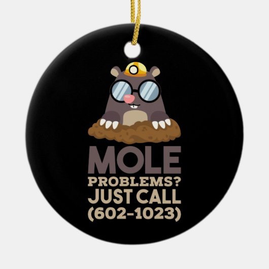 化学 – モルの問題 セラミックオーナメント (正面)