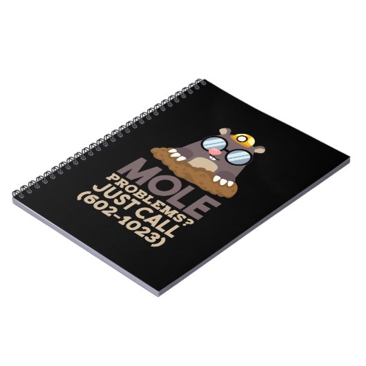 化学 – モルの問題 ノートブック (左側)