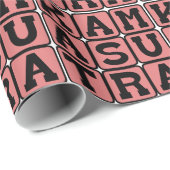 化摩経大人指導書 ラッピングペーパー (ロールコーナー)