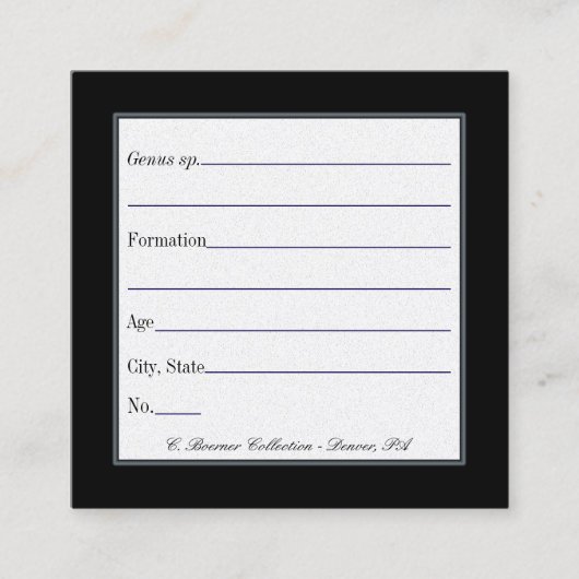 化石および鉱物コレクション用カードの表示 スクエア名刺 (正面)