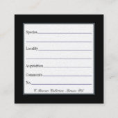 化石および鉱物コレクション用カードの表示 スクエア名刺 (裏面)