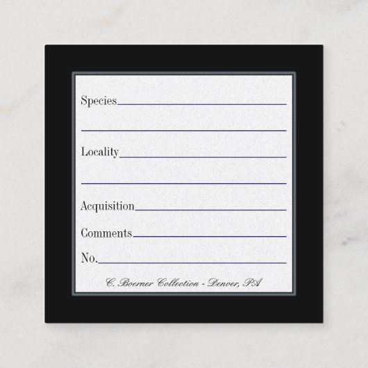 化石および鉱物コレクション用カードの表示 スクエア名刺 (裏面)