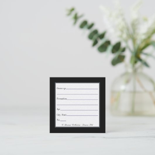 化石および鉱物コレクション用カードの表示 スクエア名刺 (スタンド正面)