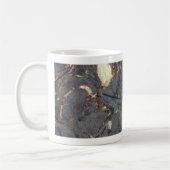 化石が付いている炭酸塩の石 コーヒーマグカップ (左)