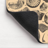 化石のマウスパッド マウスパッド (コーナー)