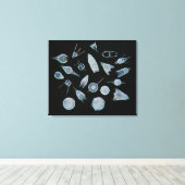 化石の放射骨格 キャンバスプリント (インサイチュ (ウッドフロア))