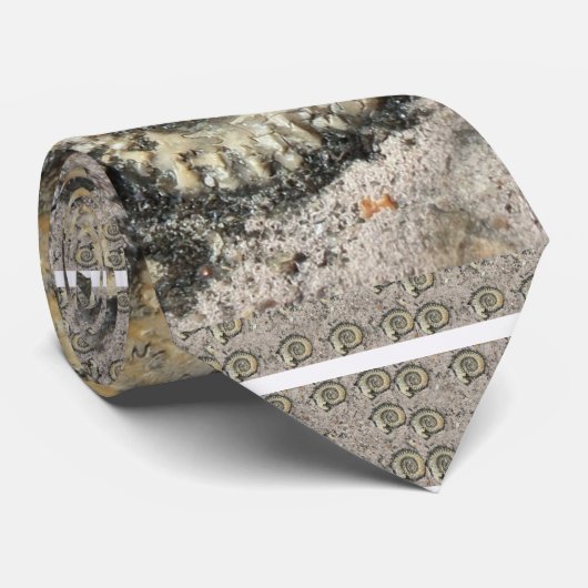 化石の背景 ネクタイ (ロール)