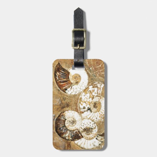 化石の貝が付いている有史以前の背景 ラゲッジタグ (正面縦)
