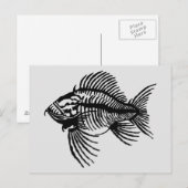 化石の魚 ポストカード (正面/裏面)