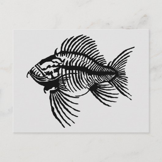 化石の魚 ポストカード (正面)