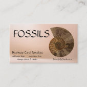 化石アンモナイトの写真 名刺 (正面)