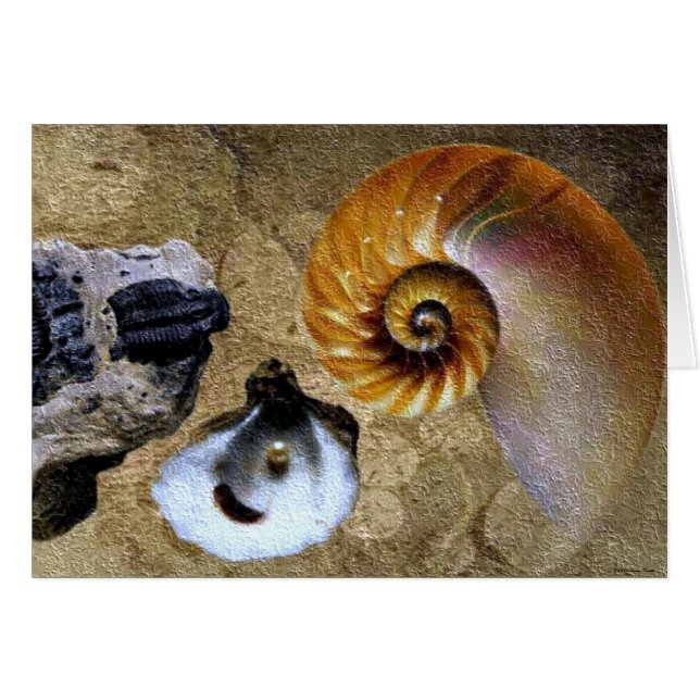 化石カード (正面横)