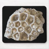 化石コーラルロック自然写真 マウスパッド (正面)