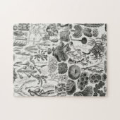 化石サンゴ地質鉱物ポリピ ジグソーパズル (横)