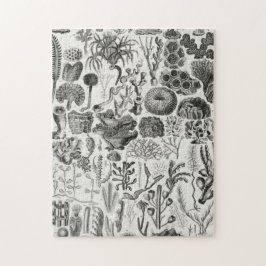 化石サンゴ地質鉱物ポリピ ジグソーパズル