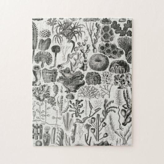 化石サンゴ地質鉱物ポリピ ジグソーパズル (縦)