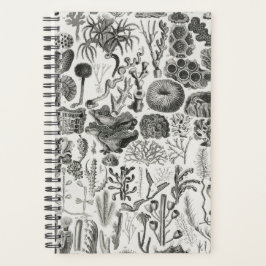 化石サンゴ地質鉱物ポリピ プランナー手帳