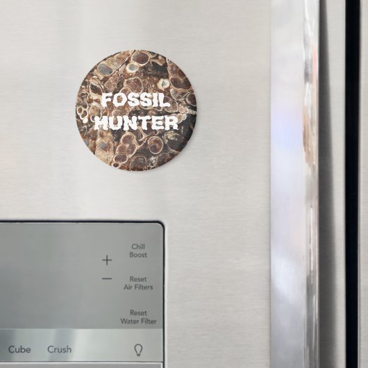 化石ハンタートリテラ瑪瑙イメージ マグネット (インサイチュ (冷蔵庫))