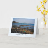 化石ビーチ、試験の幸運 カード (黄色い花)