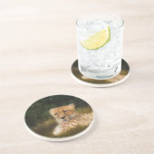 化石リム野生生物中心に横たわるチーター コースター (側面)