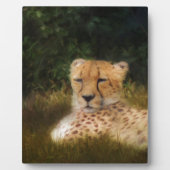 化石リム野生生物中心に横たわるチーター フォトプラーク (正面)