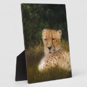 化石リム野生生物中心に横たわるチーター フォトプラーク (側面)