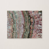 化石化されたStromatolites ジグソーパズル (横)