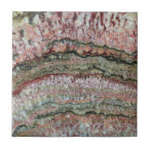 化石化されたStromatolites タイル (正面)