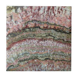 化石化されたStromatolites タイル