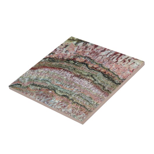 化石化されたStromatolites タイル (側面)