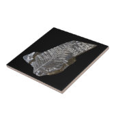 化石化ファーン葉ズロック自然写真 タイル (側面)