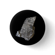 化石化ファーン葉ズロック自然写真