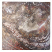 化石木のタイル タイル (正面)