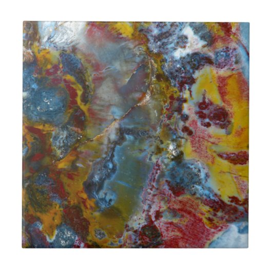 化石木の質 タイル (正面)