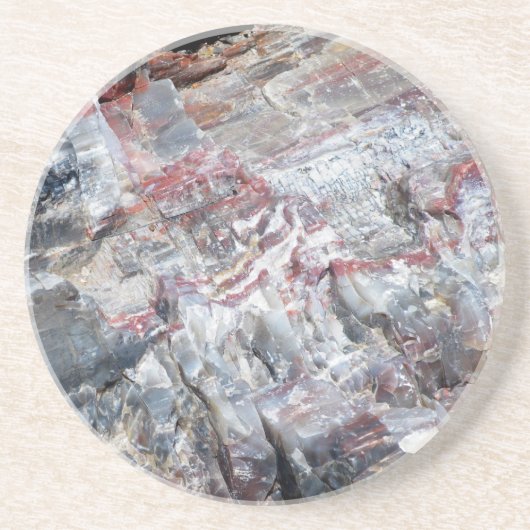 化石木 コースター (正面)