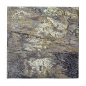 化石木 タイル (正面)