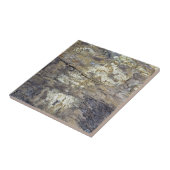 化石木 タイル (側面)