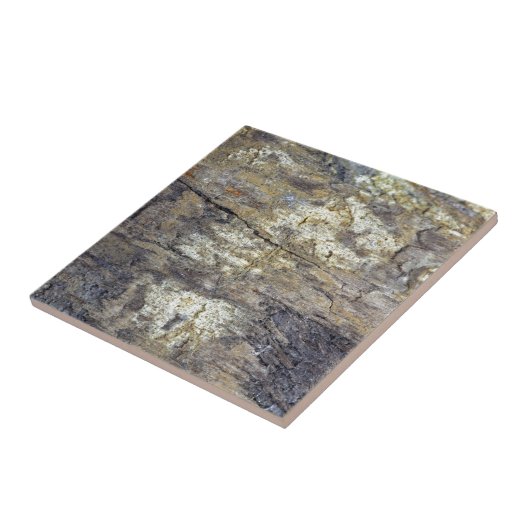 化石木 タイル (側面)