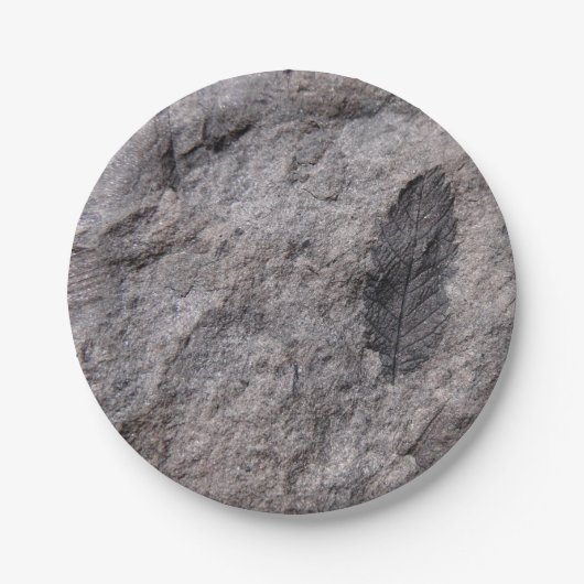 化石植物3億5000万年。古い写真プリント ペーパープレート (正面)