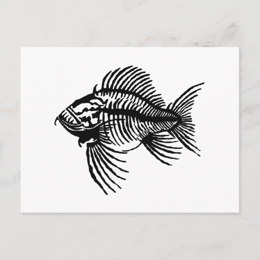 化石魚 ポストカード (正面)
