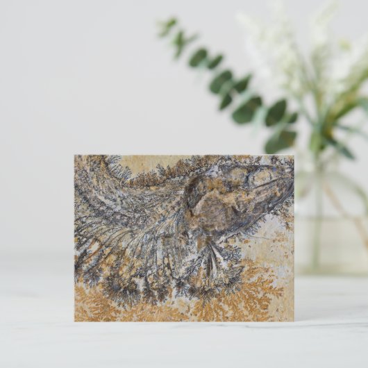 化石魚 ポストカード (スタンド正面)