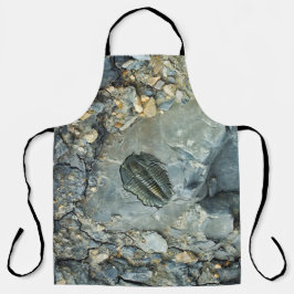 化石 エプロン