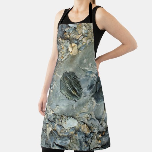 化石 エプロン (インサイチュ)