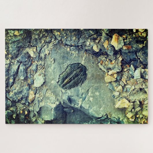 化石 ジグソーパズル (横)