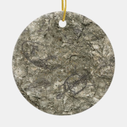 化石 セラミックオーナメント (正面)