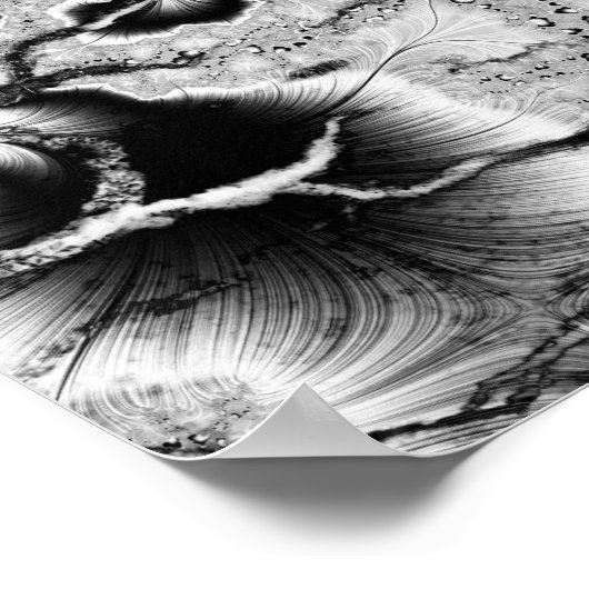 化石 ポスター (角)